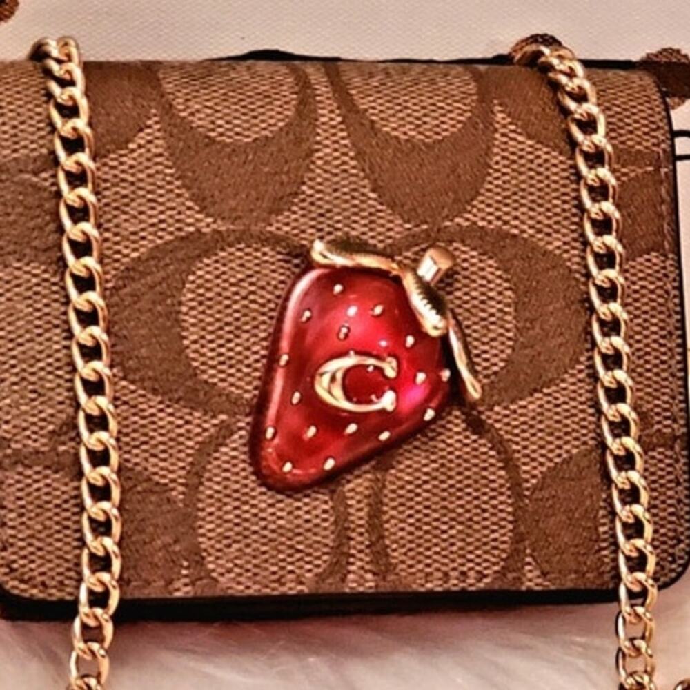 Coach Mini Strawberry Wallet on Chain NWT